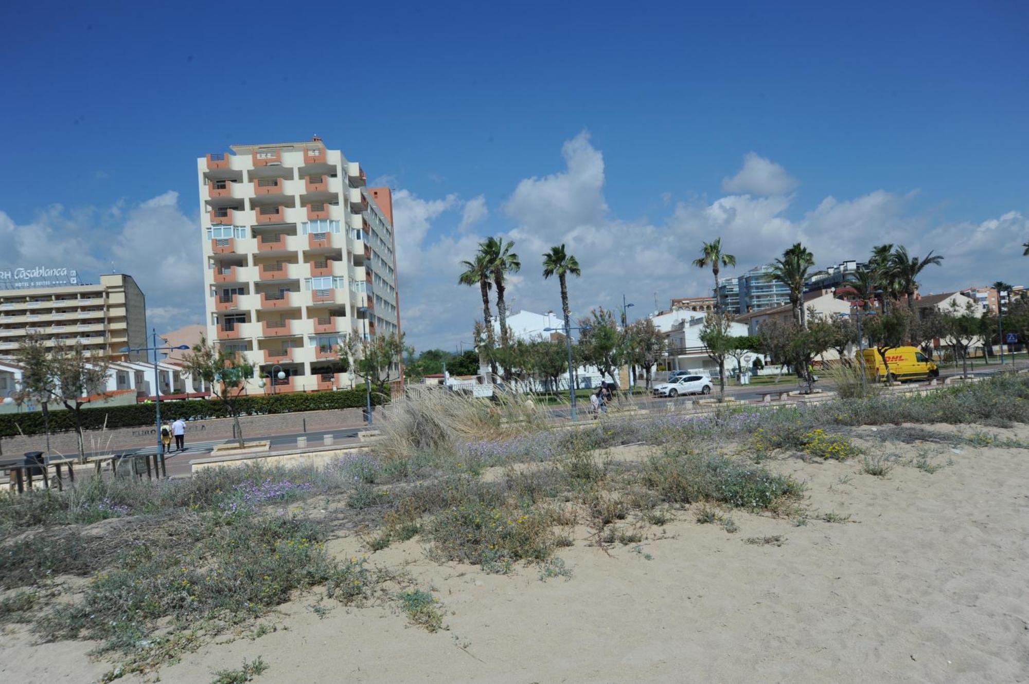 Europeniscola Superior Orangecosta Apartment ภายนอก รูปภาพ